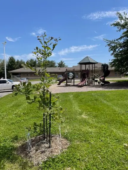 Lohman Garden Playground
